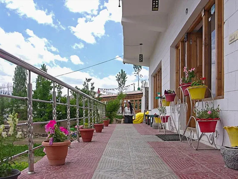Yangphel Guest House